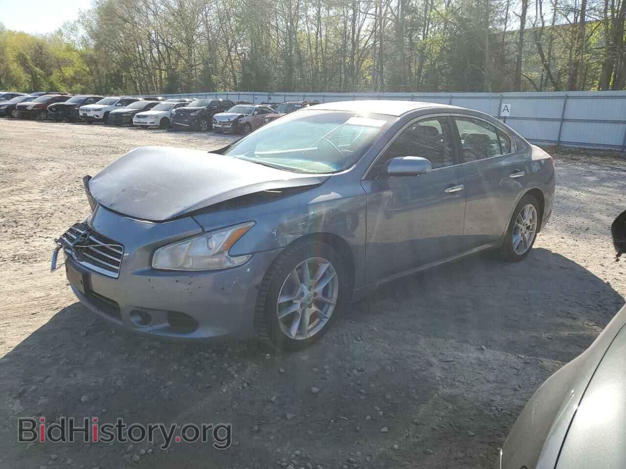 Photo 1N4AA5AP1AC833371 - NISSAN MAXIMA 2010
