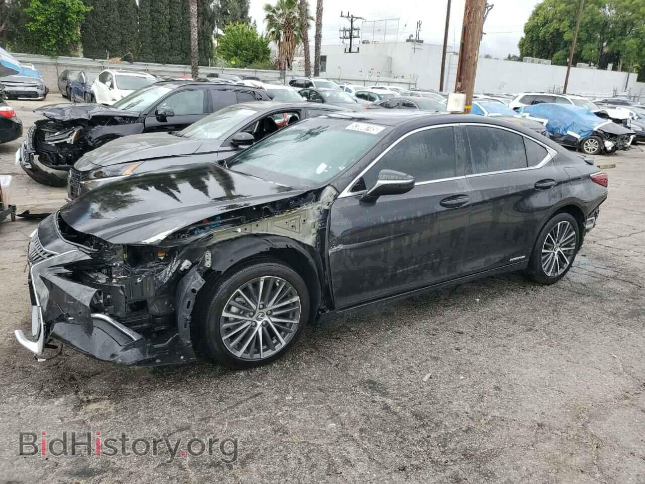 Photo 58ADA1C13NU019560 - LEXUS ES300 2022
