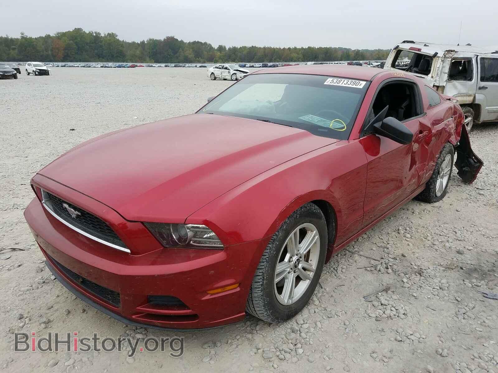 2013 FORD MUSTANG - VIN: 1ZVBP8AM7D5240527 - Фото 2