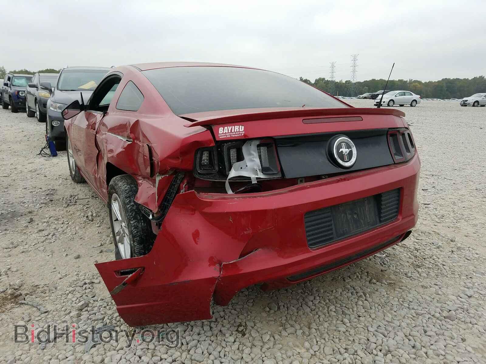 2013 FORD MUSTANG - VIN: 1ZVBP8AM7D5240527 - Фото 3