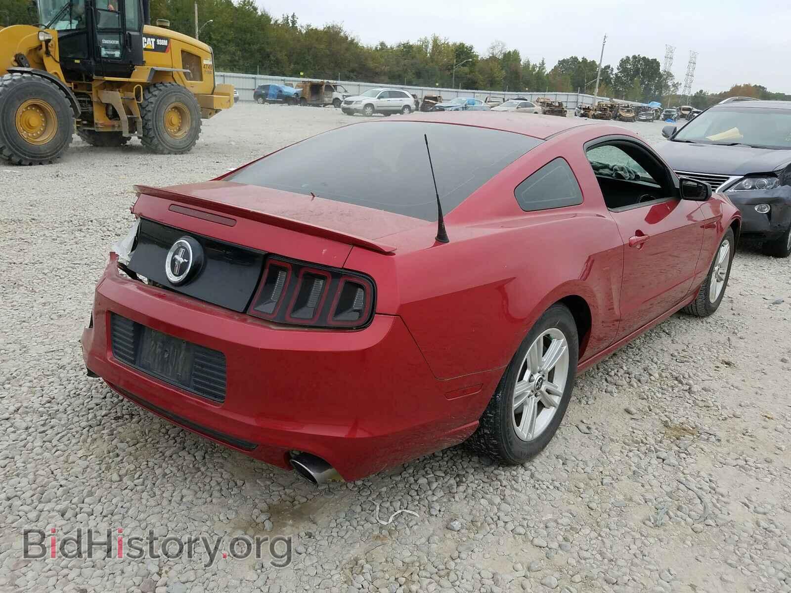 2013 FORD MUSTANG - VIN: 1ZVBP8AM7D5240527 - Фото 4