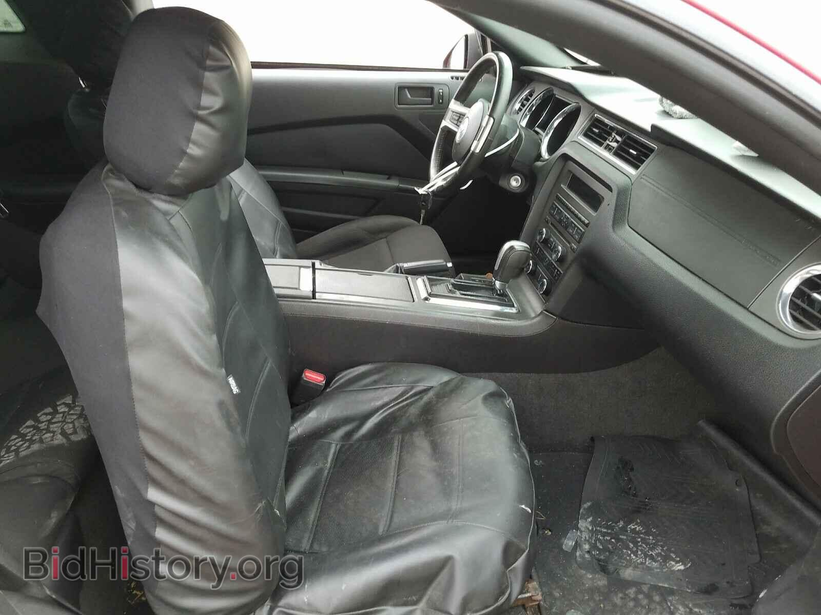2013 FORD MUSTANG - VIN: 1ZVBP8AM7D5240527 - Фото 5