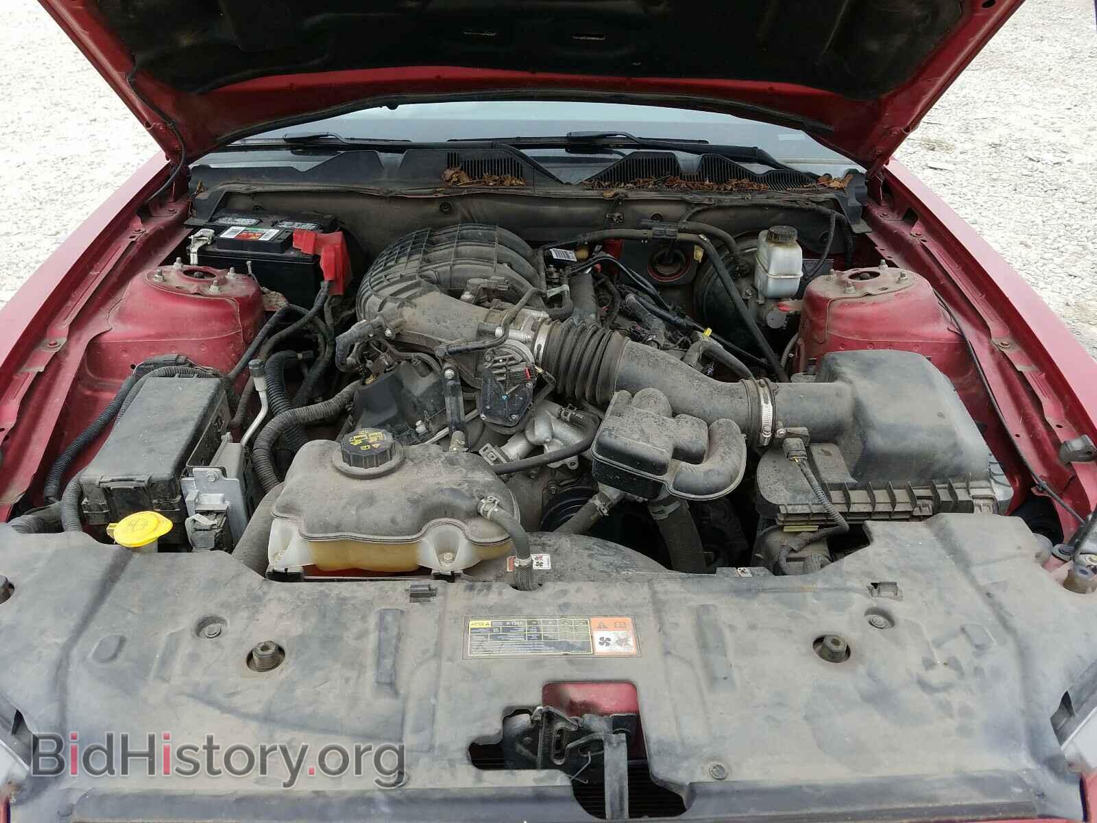 2013 FORD MUSTANG - VIN: 1ZVBP8AM7D5240527 - Фото 7
