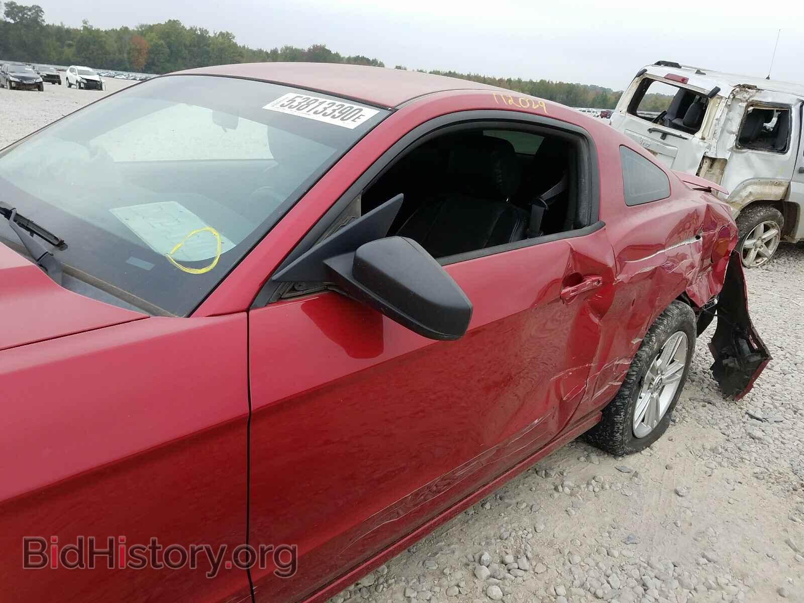 2013 FORD MUSTANG - VIN: 1ZVBP8AM7D5240527 - Фото 9