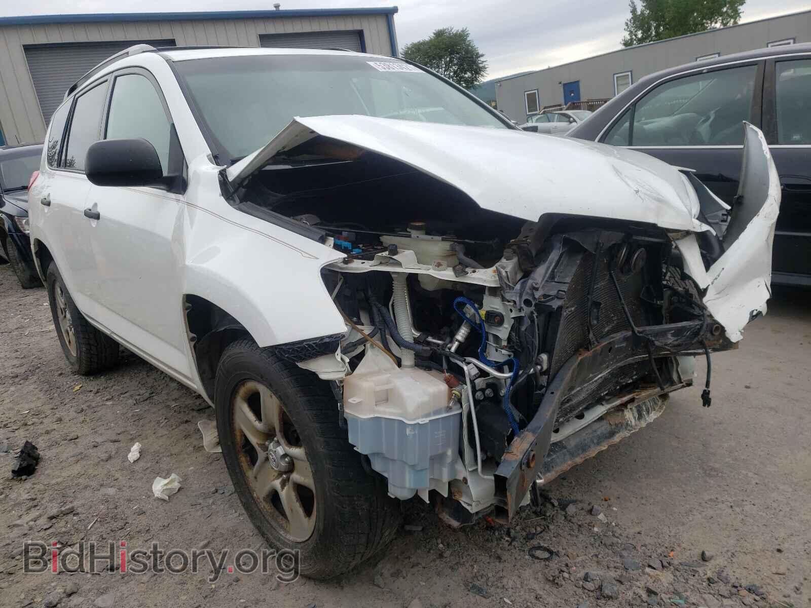 Фотография 2T3BF4DV4BW142273 - TOYOTA RAV4 2011