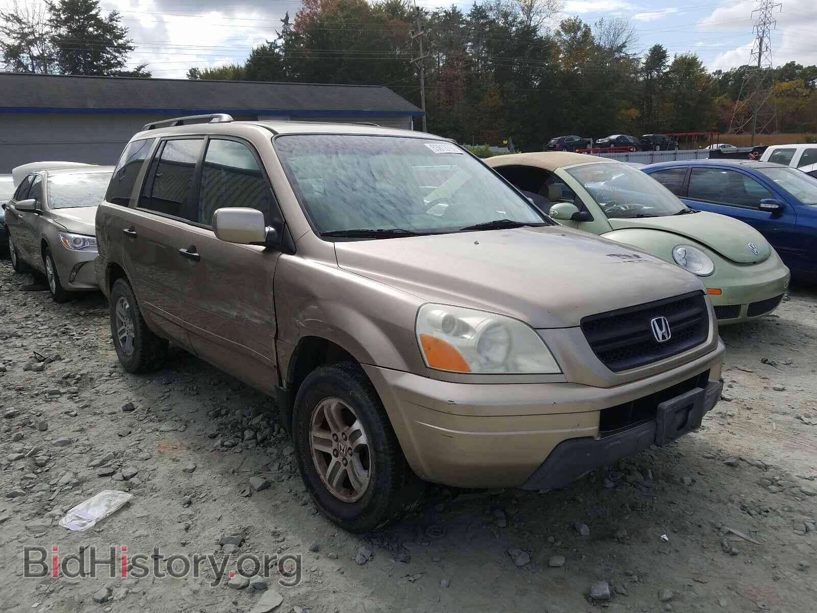 Photo 2HKYF18795H528445 - HONDA PILOT 2005