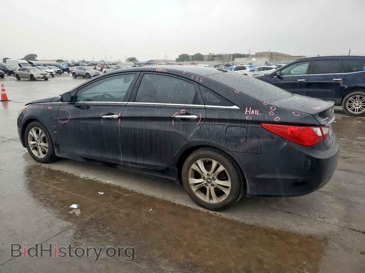 2013 HYUNDAI SONATA - VIN: 5NPEC4AC5DH564989 - Фото 2