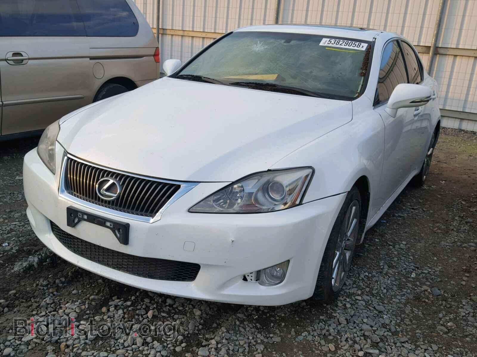 2009 LEXUS IS 250 - VIN: JTHBK262995090853 - Фото 2