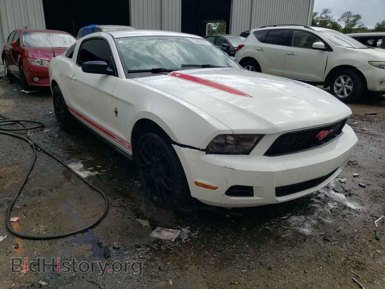 Photo 1ZVBP8AM0C5207092 - FORD MUSTANG 2012