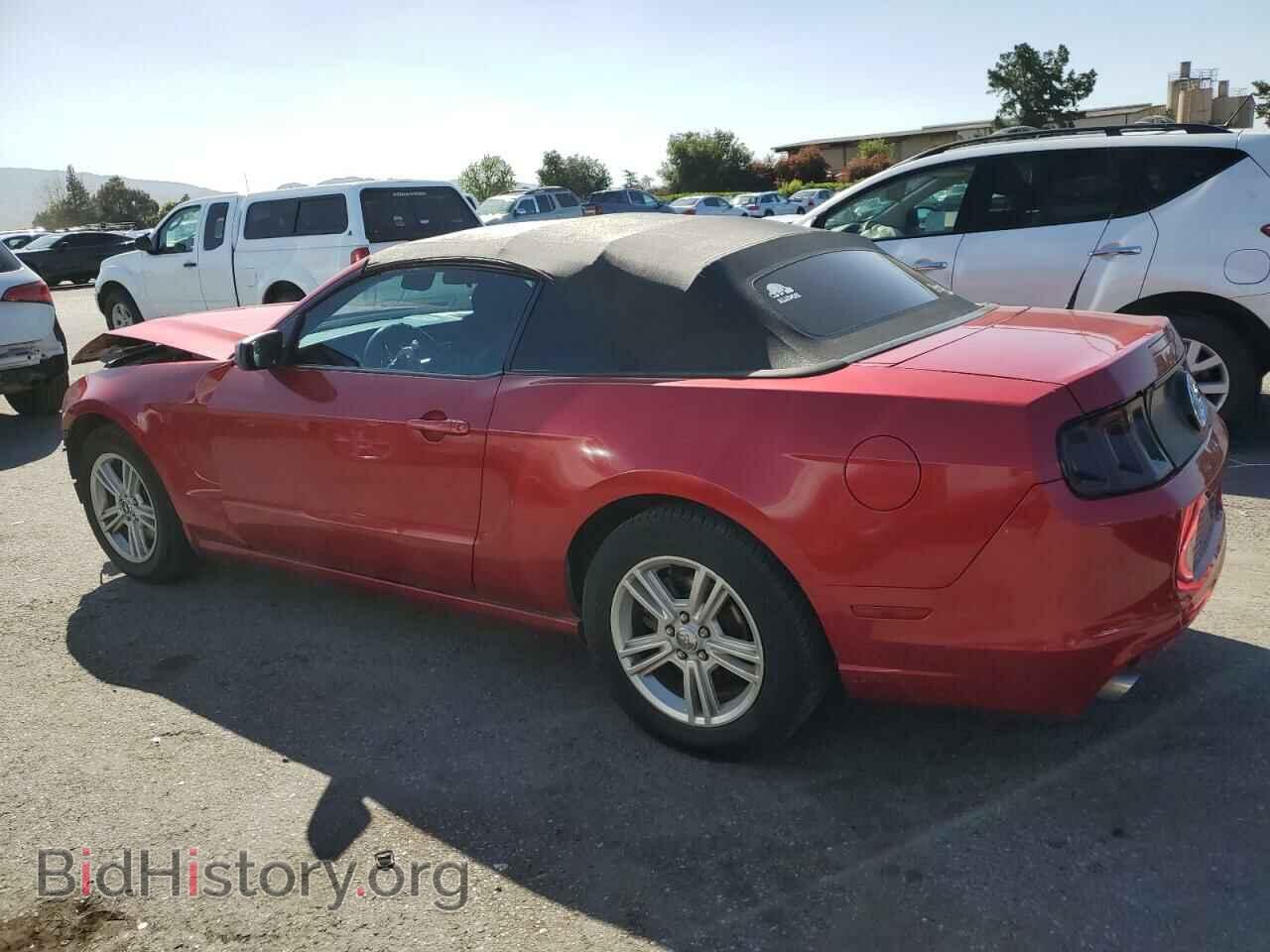 2013 FORD ALL Models - VIN: 1ZVBP8EM5D5224630 - Фото 2