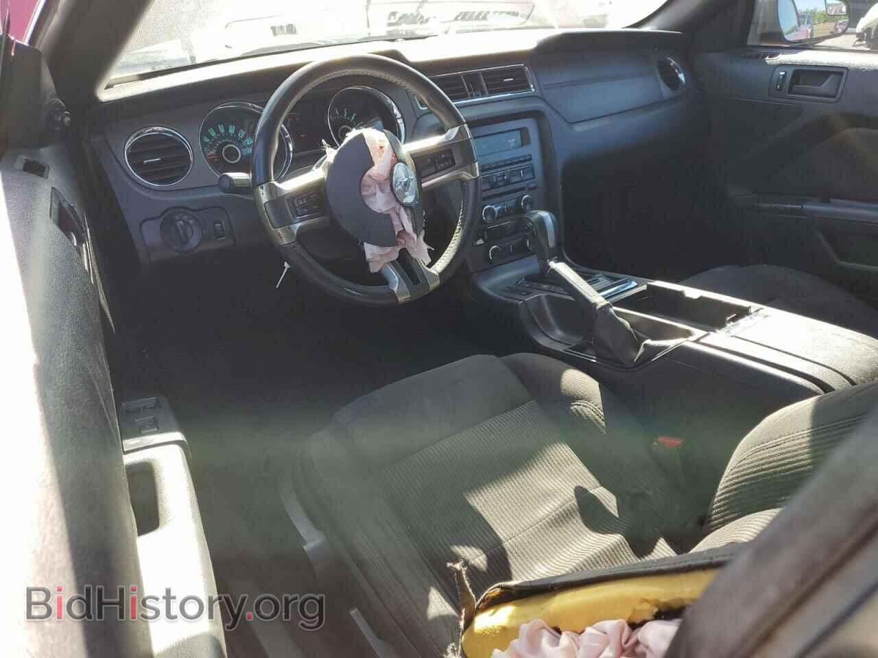 2013 FORD ALL Models - VIN: 1ZVBP8EM5D5224630 - Фото 8