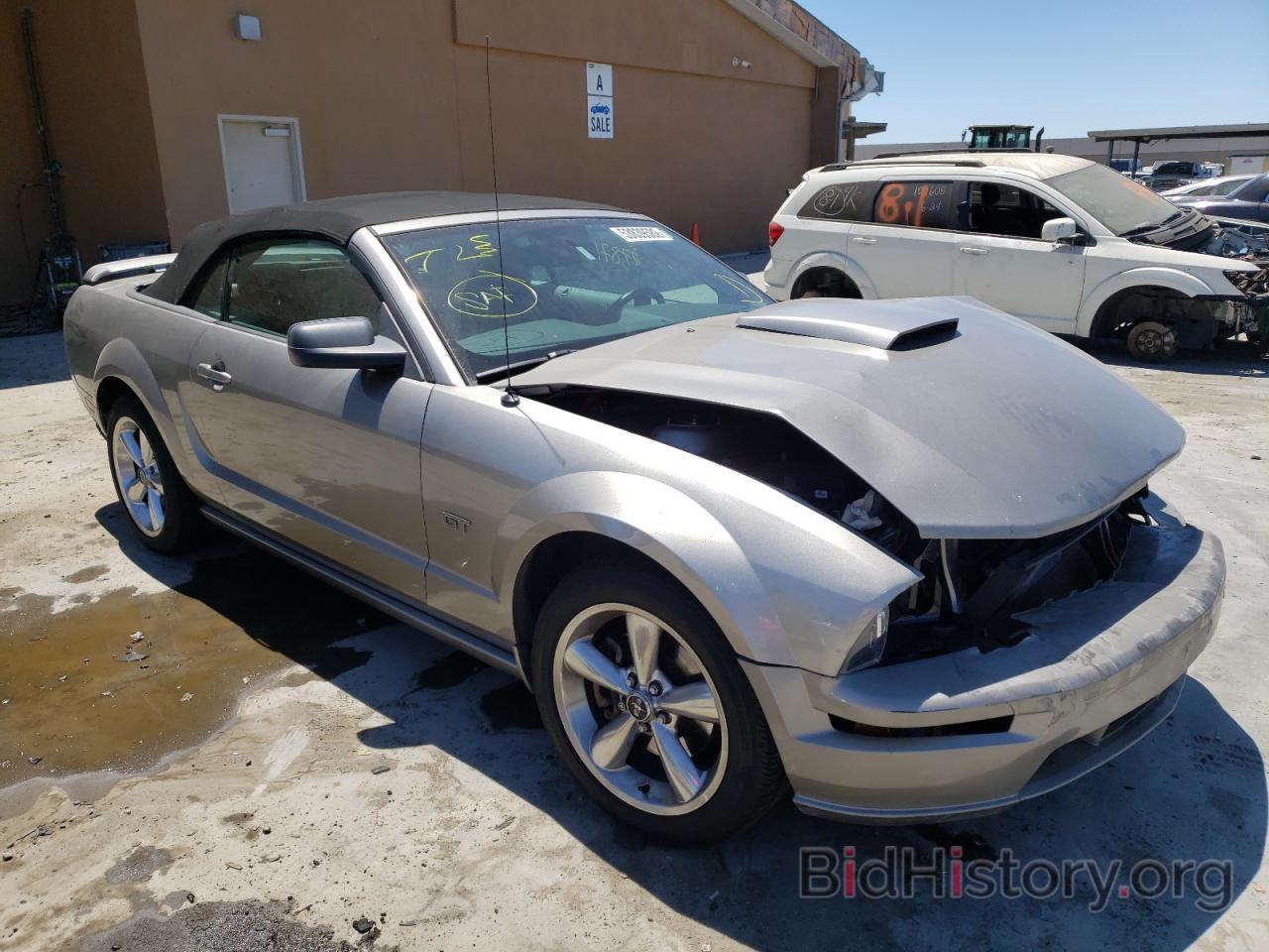 Photo 1ZVHT85H885206489 - FORD MUSTANG 2008