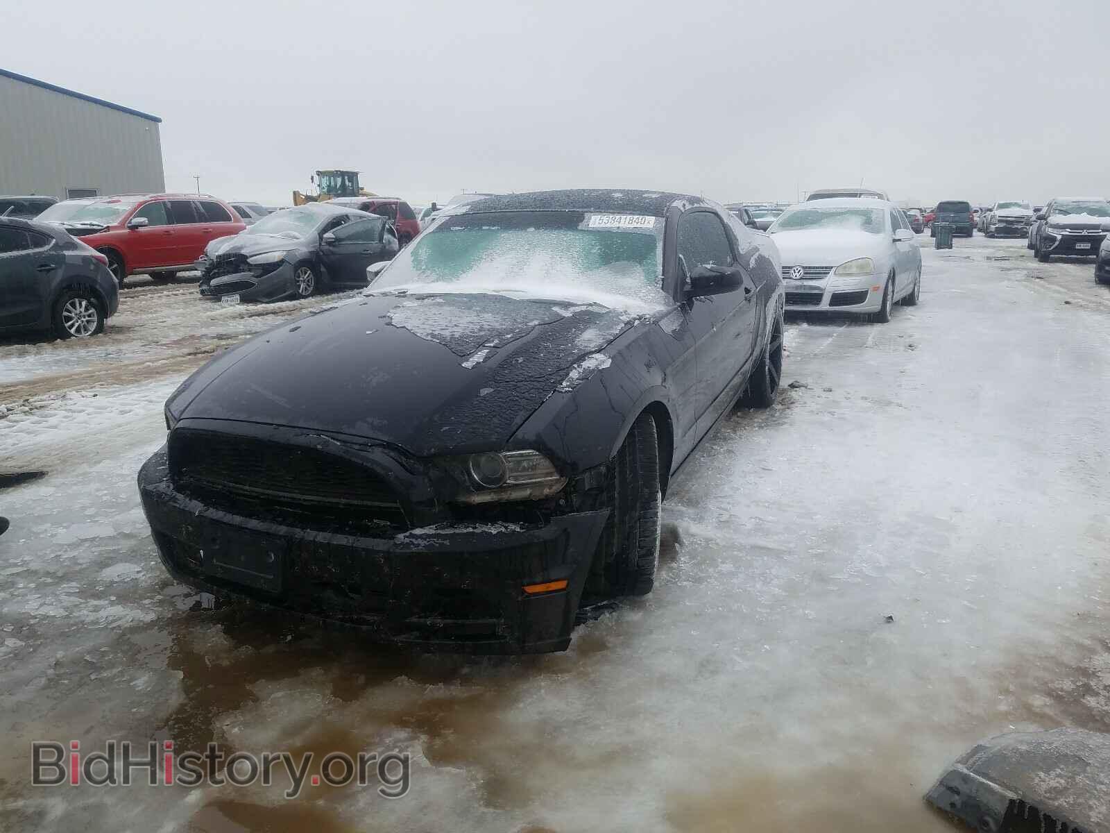 2013 FORD MUSTANG - VIN: 1ZVBP8AM2D5259132 - Фото 2