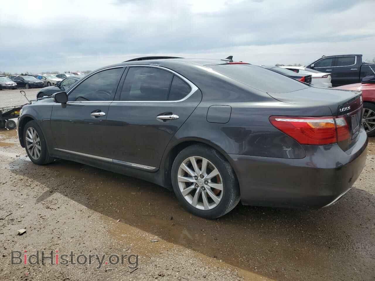 2010 LEXUS LS460 - VIN: JTHCL5EF5A5005308 - Фото 2