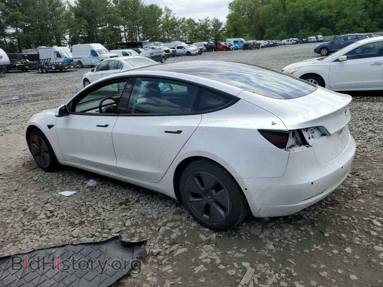 2021 TESLA MODEL 3 - VIN: 5YJ3E1EA8MF079379 - Photo 2