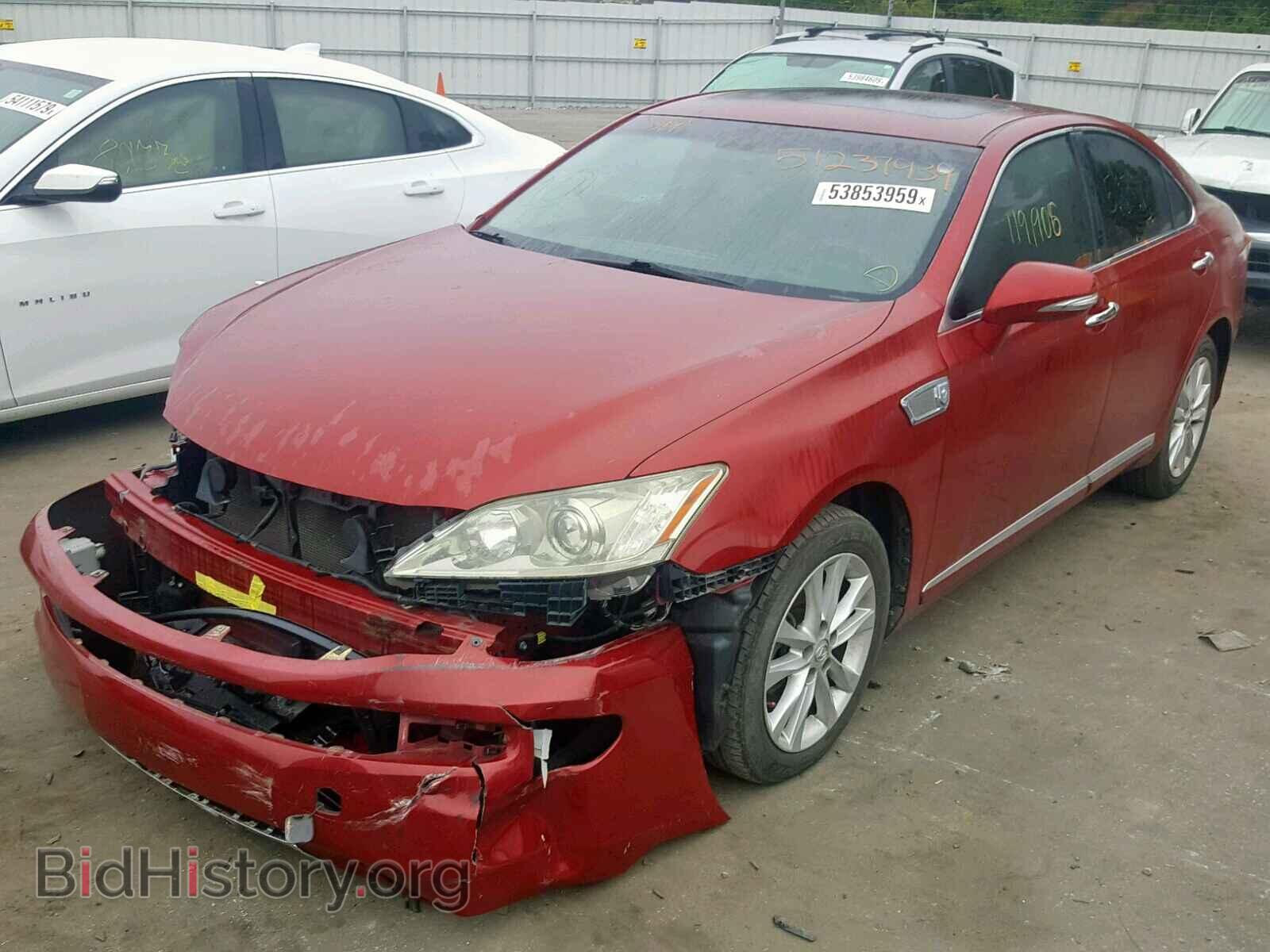 2010 LEXUS ES350 - VIN: JTHBK1EG2A2365959 - Фото 2