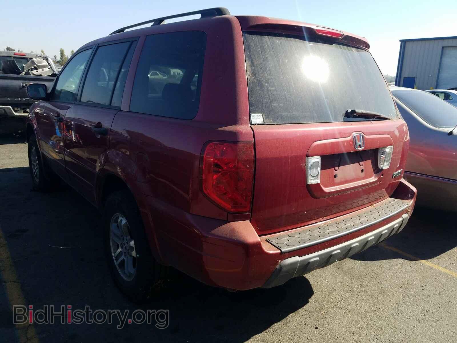 2005 HONDA PILOT - VIN: 2HKYF18635H569936 - Фото 3