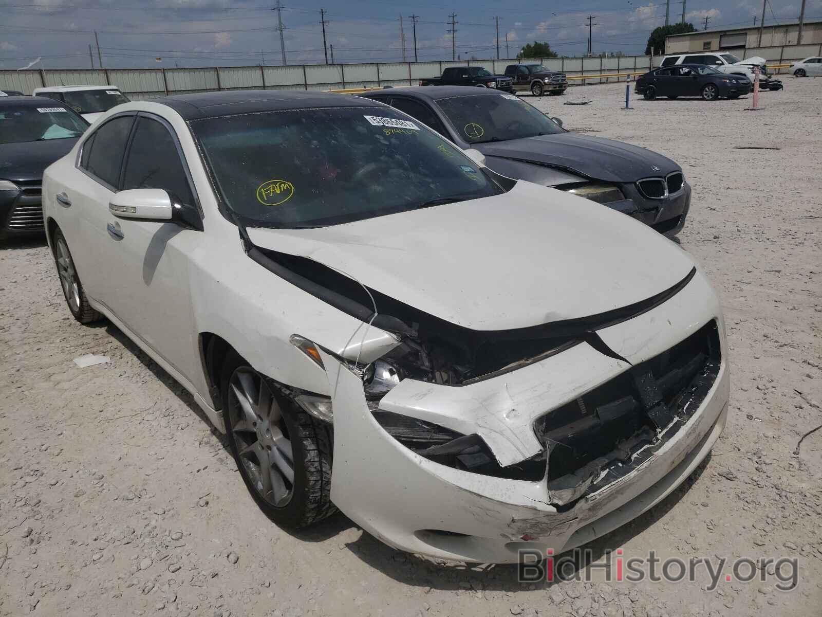 Photo 1N4AA5AP7AC874409 - NISSAN MAXIMA 2010