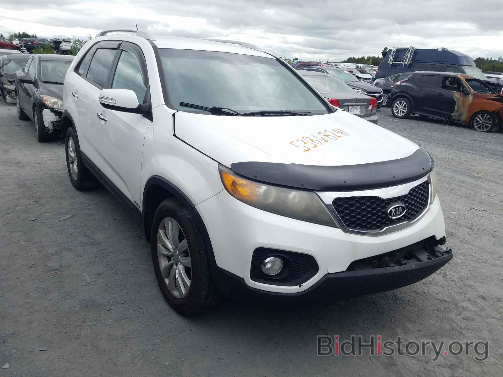 Photo 5XYKTDA23BG160183 - KIA SORENTO 2011