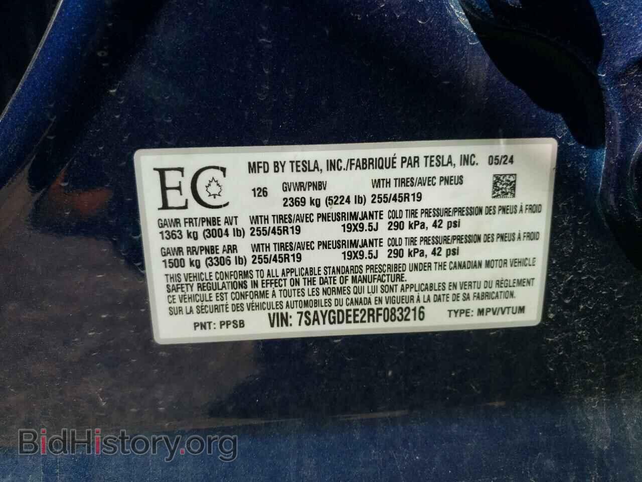 2024 TESLA MODEL Y - VIN: 7SAYGDEE2RF083216 - Photo 13