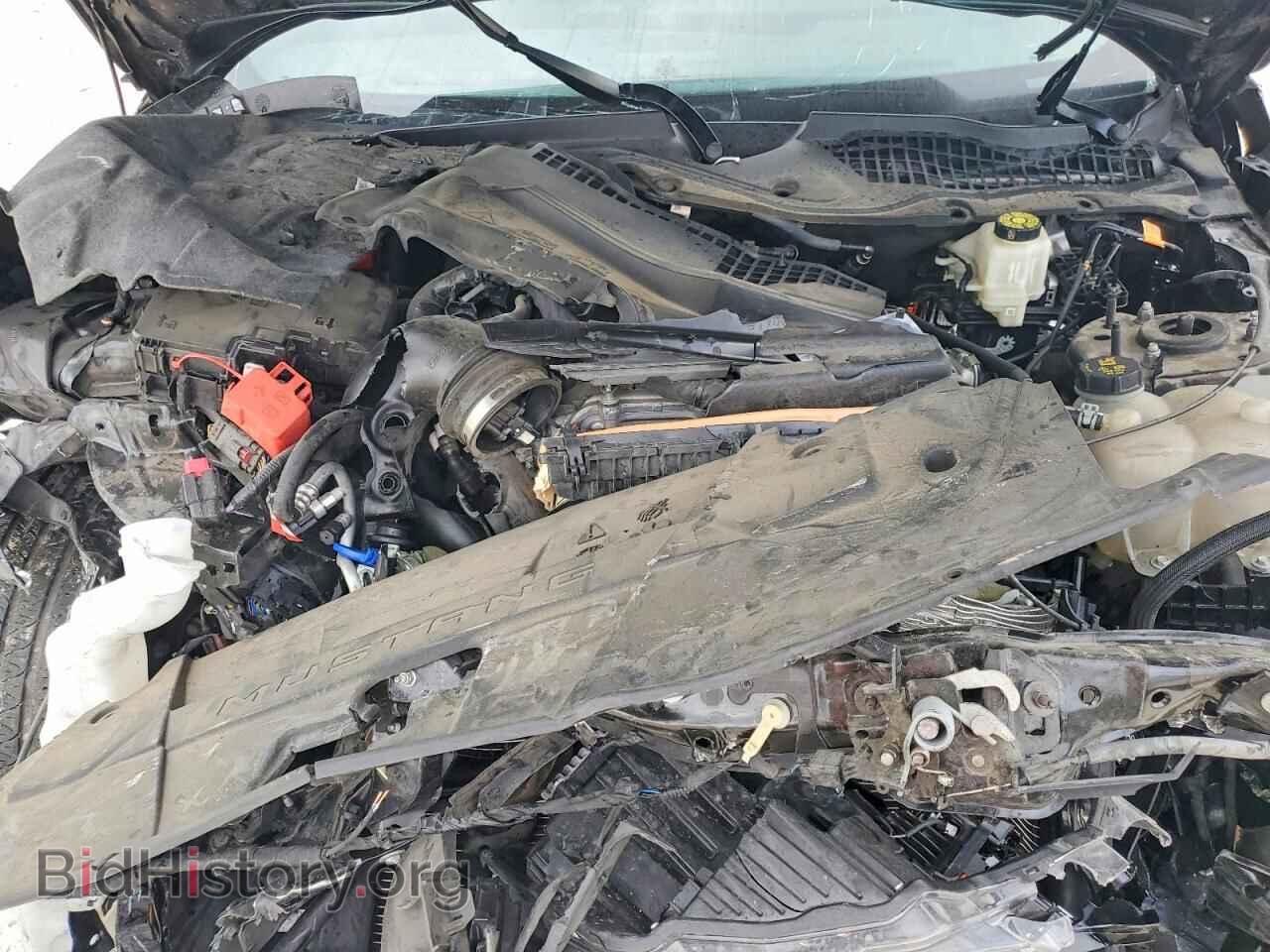 2024 FORD MUSTANG - VIN: 1FA6P8TH8R5118924 - Фото 11