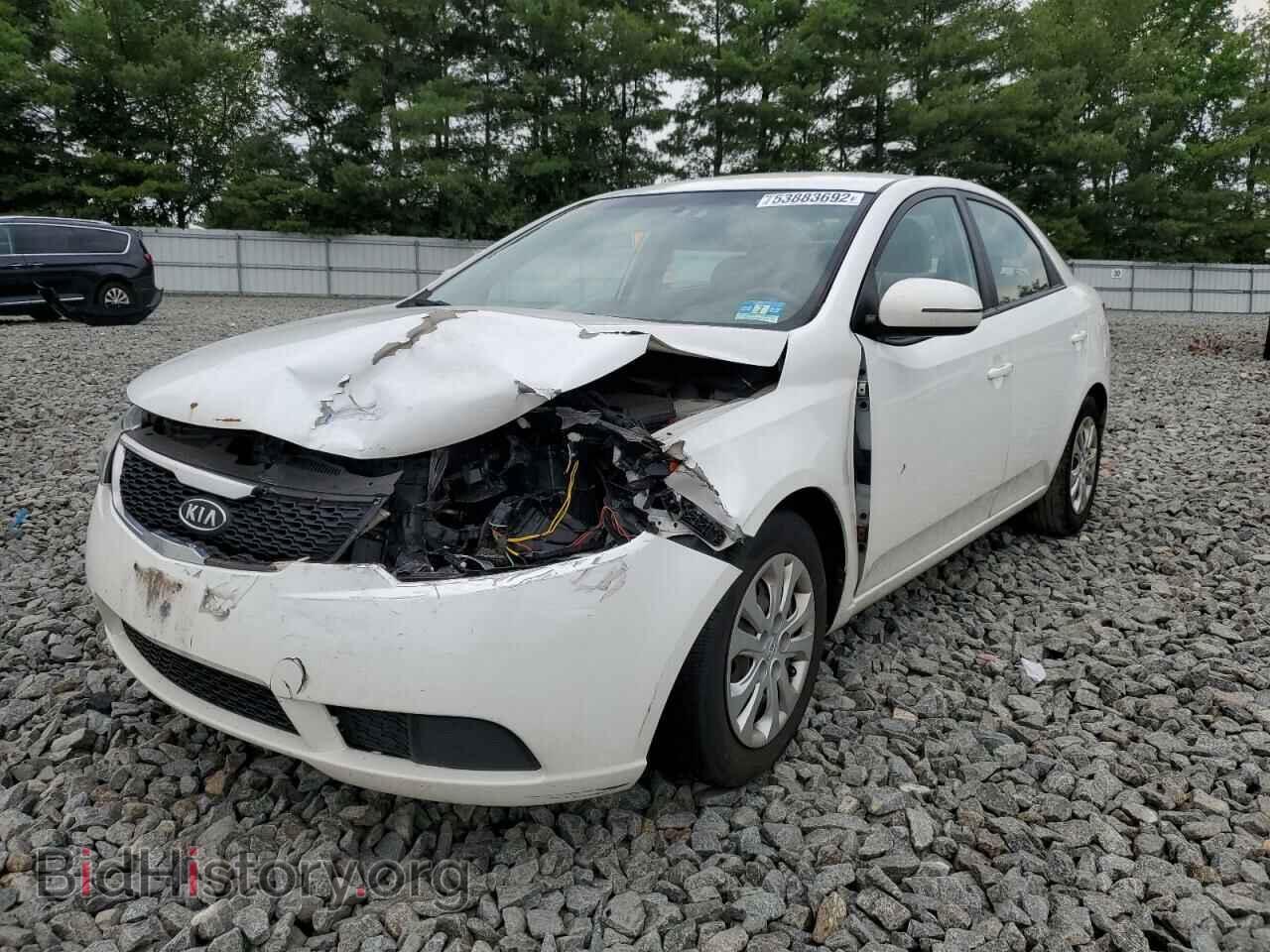 2012 KIA FORTE - VIN: KNAFU4A22C5597520 - Фото 2
