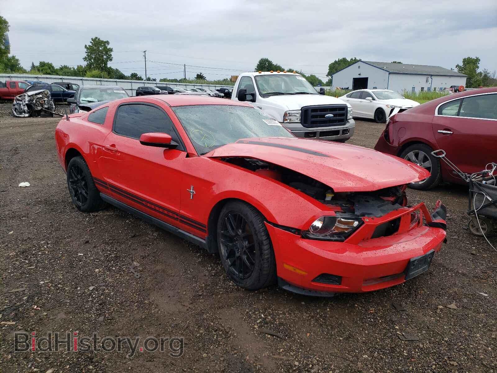 Фотография 1ZVBP8AN3A5132233 - FORD MUSTANG 2010