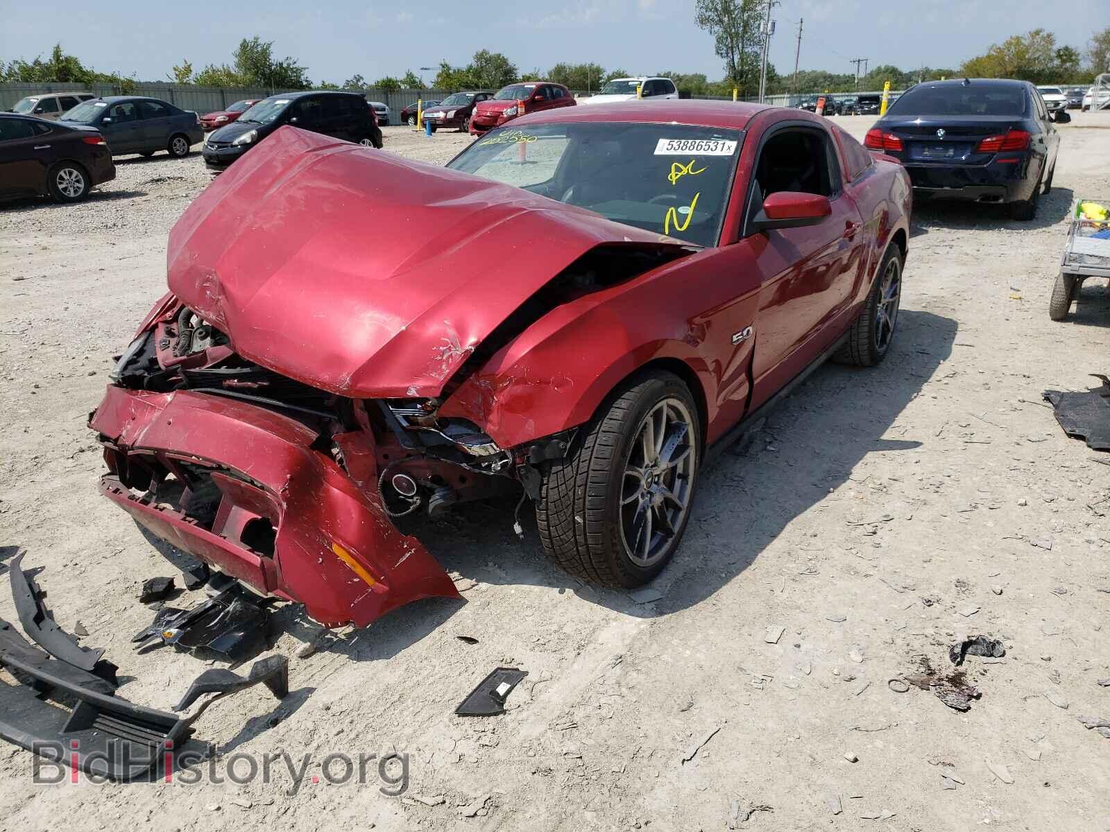 2012 FORD MUSTANG - VIN: 1ZVBP8CF3C5202550 - Фото 2