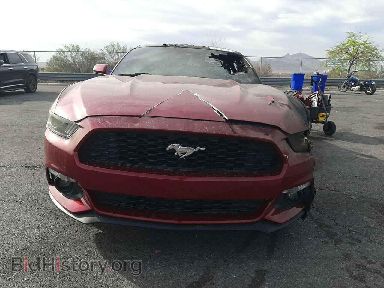 2016 FORD ALL Models - VIN: 1FA6P8TH3G5290520 - Photo 5