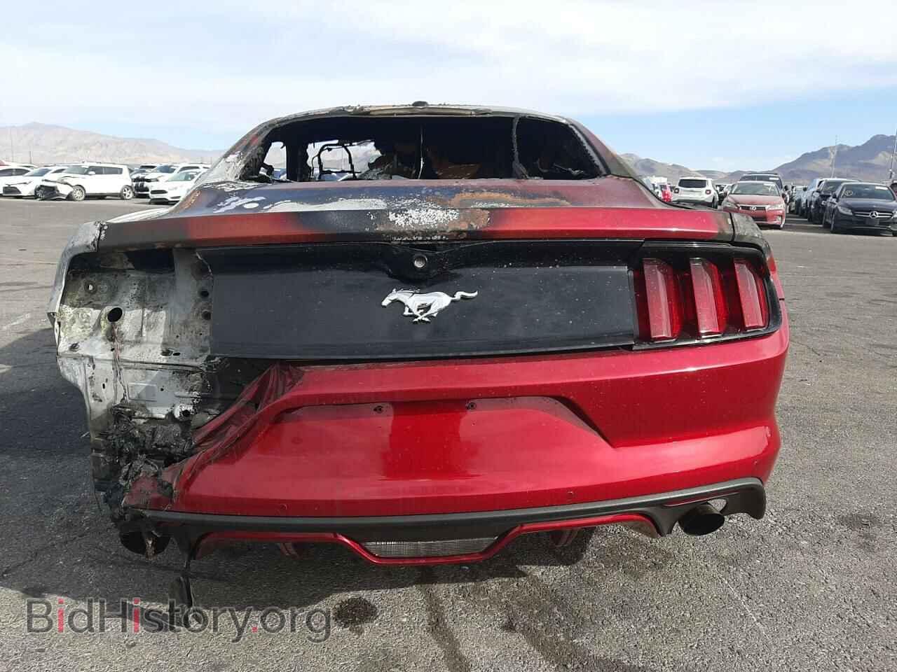 2016 FORD ALL Models - VIN: 1FA6P8TH3G5290520 - Photo 6