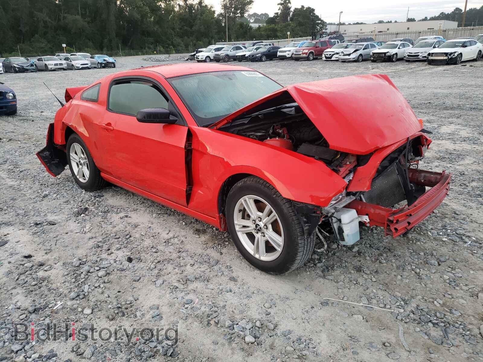 Фотография 1ZVBP8AM6E5221176 - FORD MUSTANG 2014