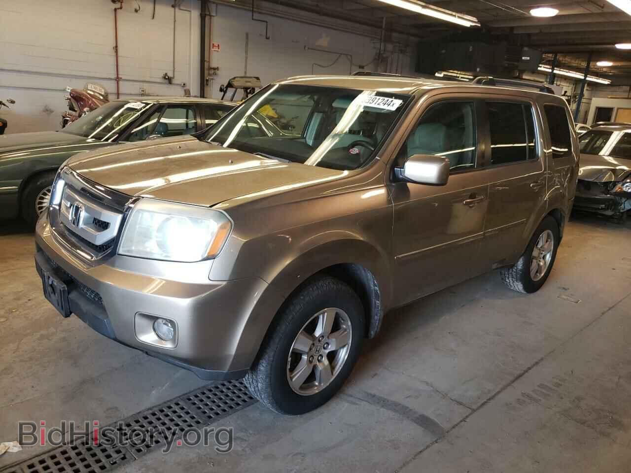 Фотография 5FNYF48409B012535 - HONDA PILOT 2009