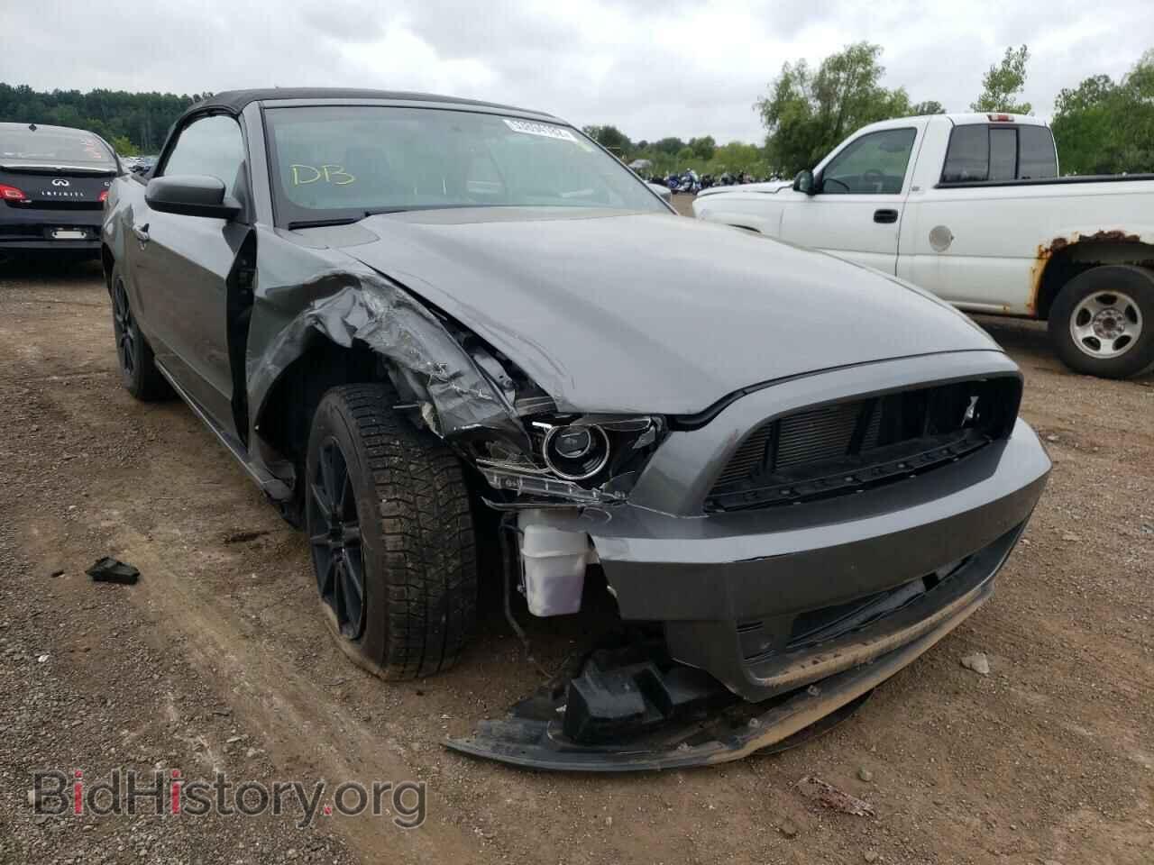 Фотография 1ZVBP8EM2D5202858 - FORD MUSTANG 2013