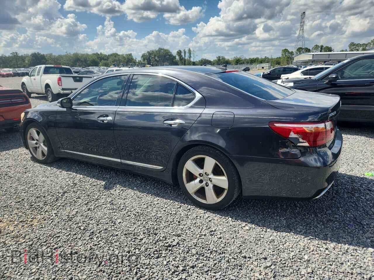 2011 LEXUS LS460 - VIN: JTHBL5EF7B5105505 - Фото 2