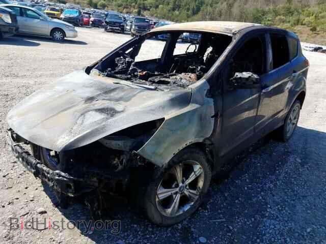 2013 FORD ESCAPE - VIN: 1FMCU9GX3DUC22194 - Photo 2