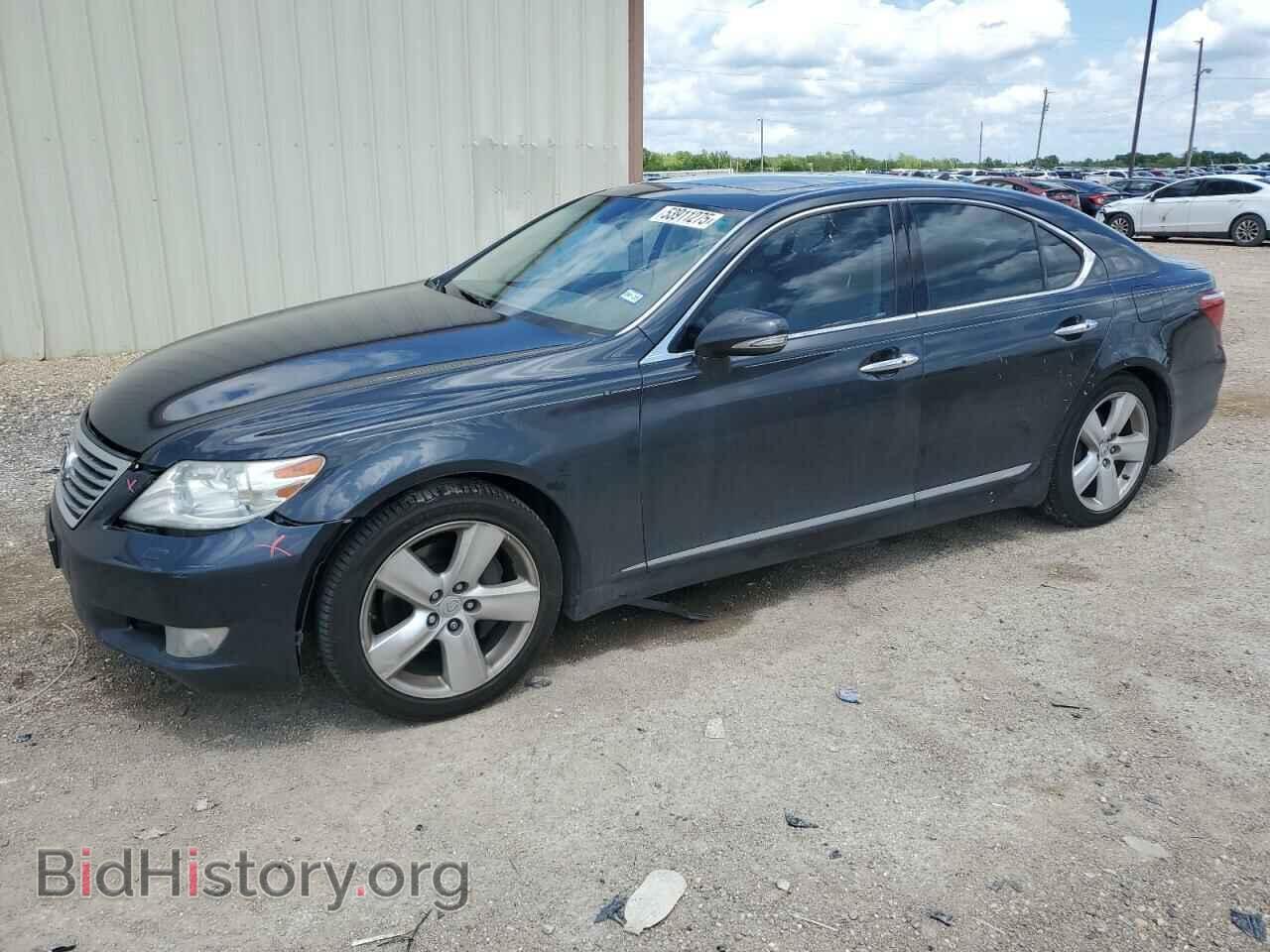 Фотография JTHBL5EF7A5091846 - LEXUS LS460 2010