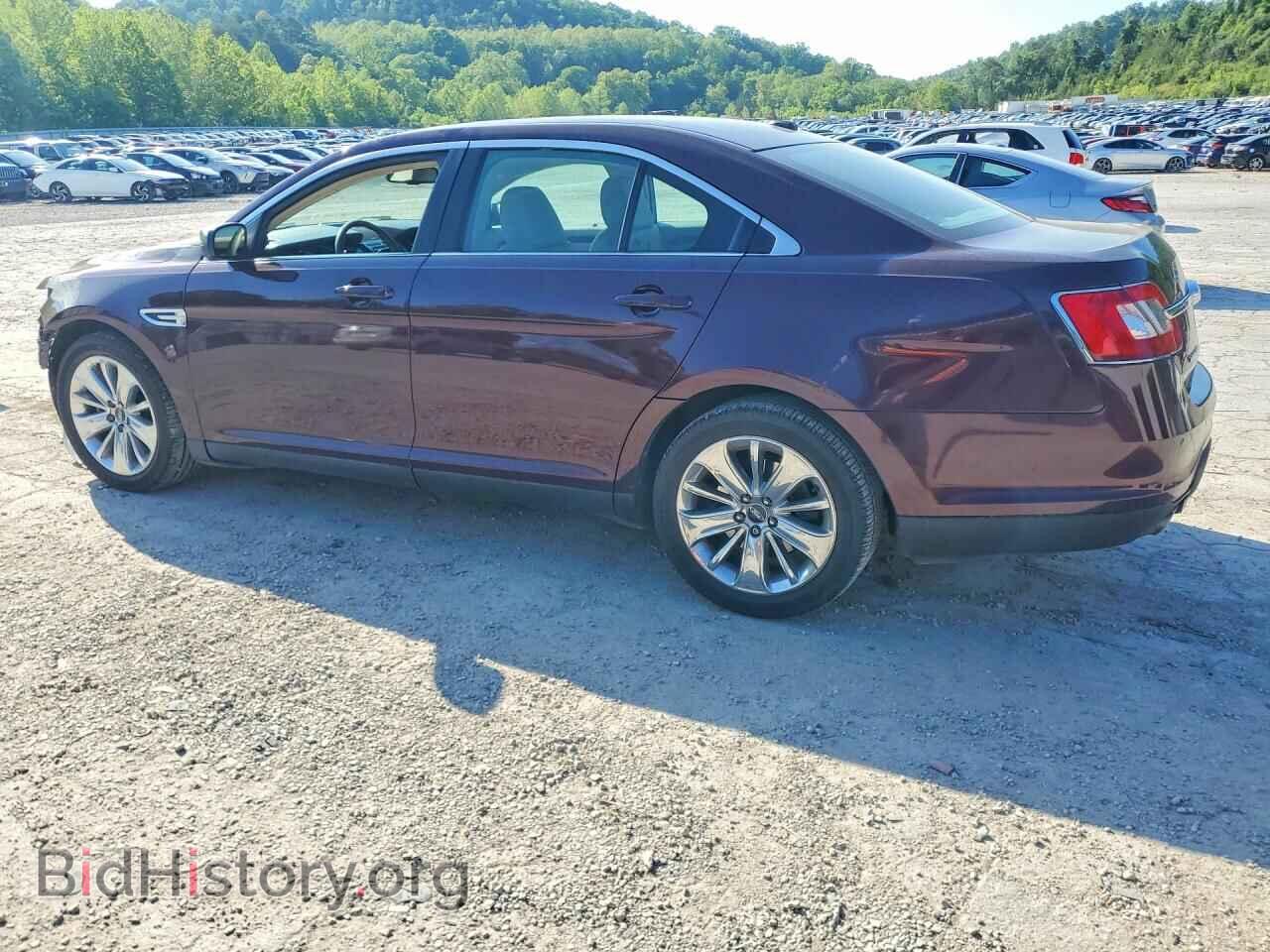 2011 FORD TAURUS - VIN: 1FAHP2FW2BG174464 - Фото 2