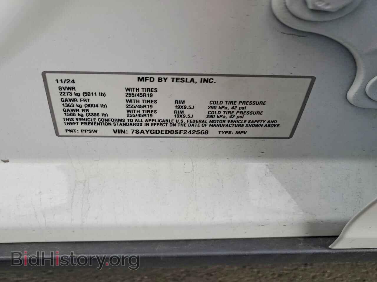 2025 TESLA MODEL Y - VIN: 7SAYGDED0SF242568 - Photo 13