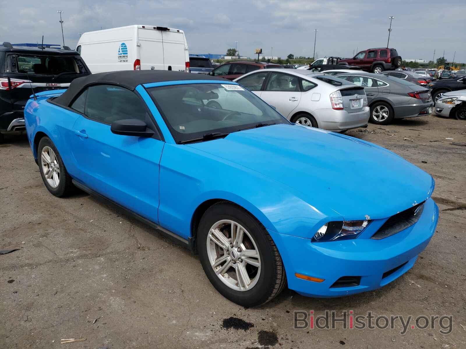 Фотография 1ZVBP8EM4B5152431 - FORD MUSTANG 2011