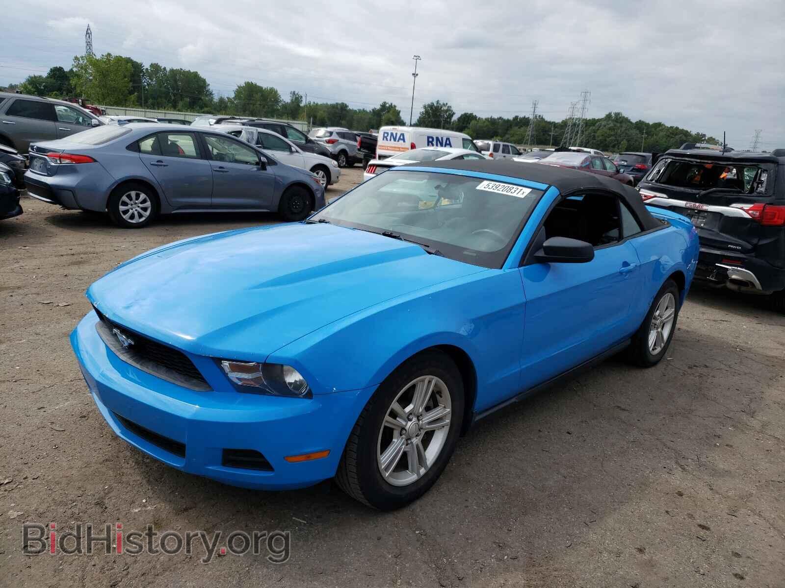 2011 FORD MUSTANG - VIN: 1ZVBP8EM4B5152431 - Фото 2