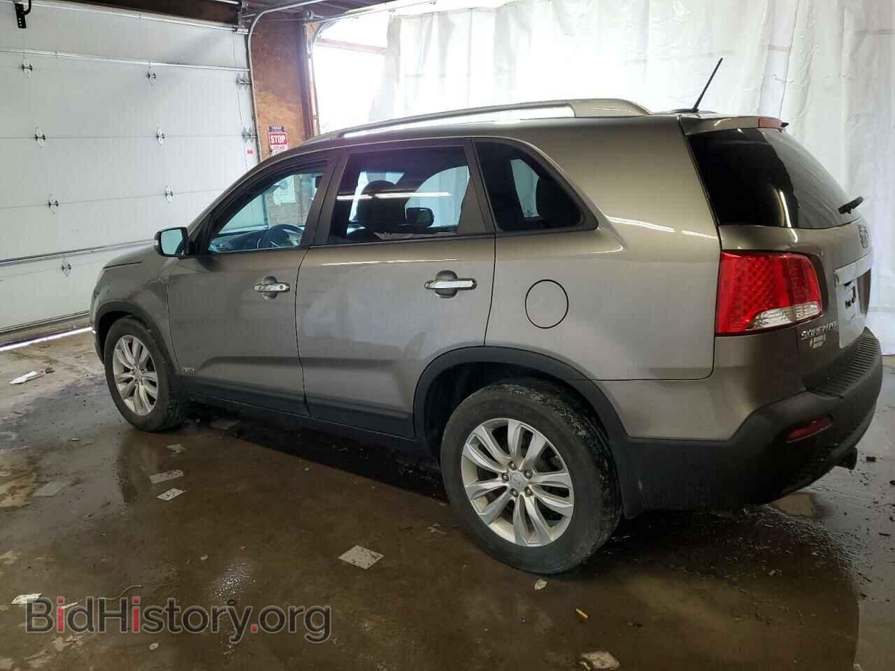 2011 KIA SORENTO - VIN: 5XYKTDA21BG123410 - Фото 2