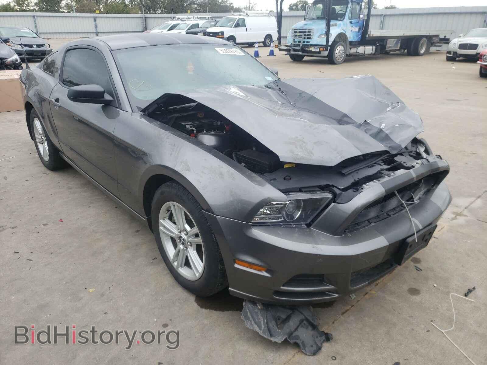 Фотография 1ZVBP8AM3E5271596 - FORD MUSTANG 2014