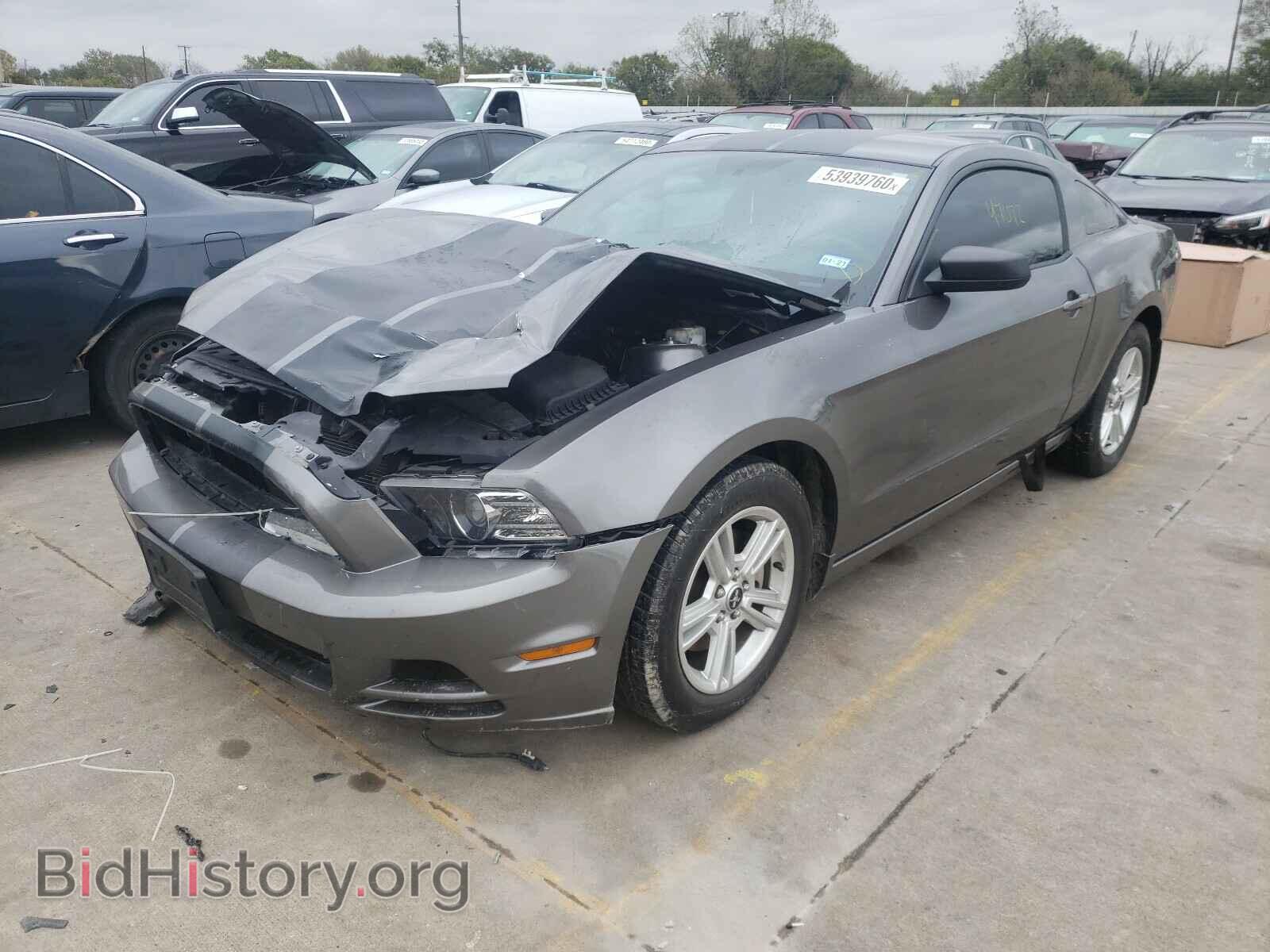 2014 FORD MUSTANG - VIN: 1ZVBP8AM3E5271596 - Фото 2
