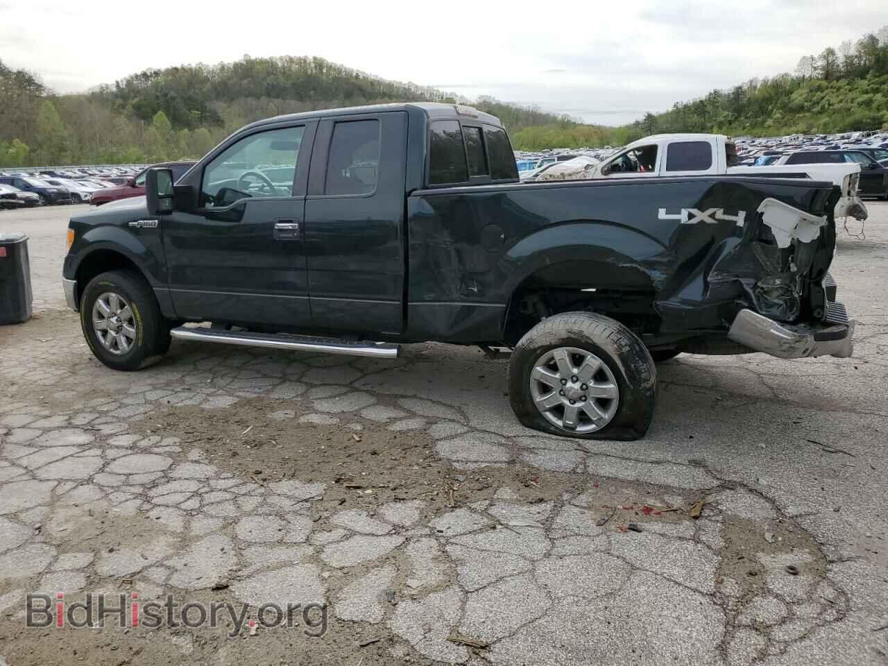 2013 FORD F-150 - VIN: 1FTFX1EF9DFA28620 - Фото 2
