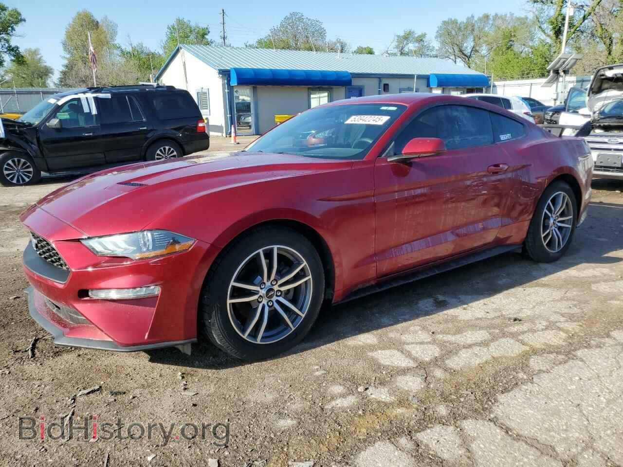 Фотография 1FA6P8THXK5173655 - FORD ALL Models 2019