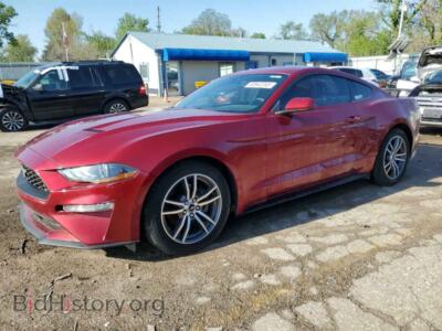 2019 Ford ALL MODELS, red — VIN 1FA6P8THXK5173655, Copart