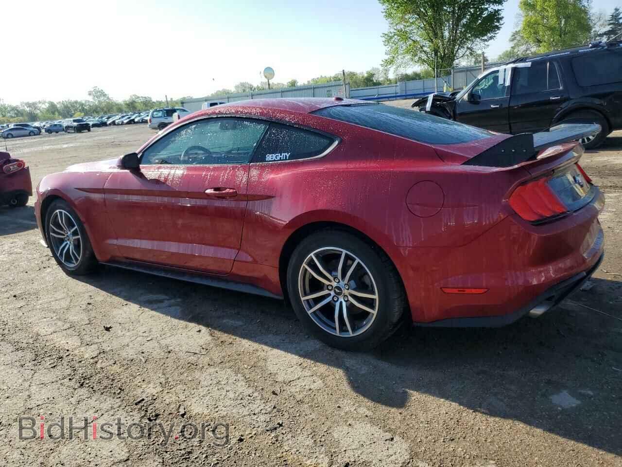 2019 FORD ALL Models - VIN: 1FA6P8THXK5173655 - Фото 2