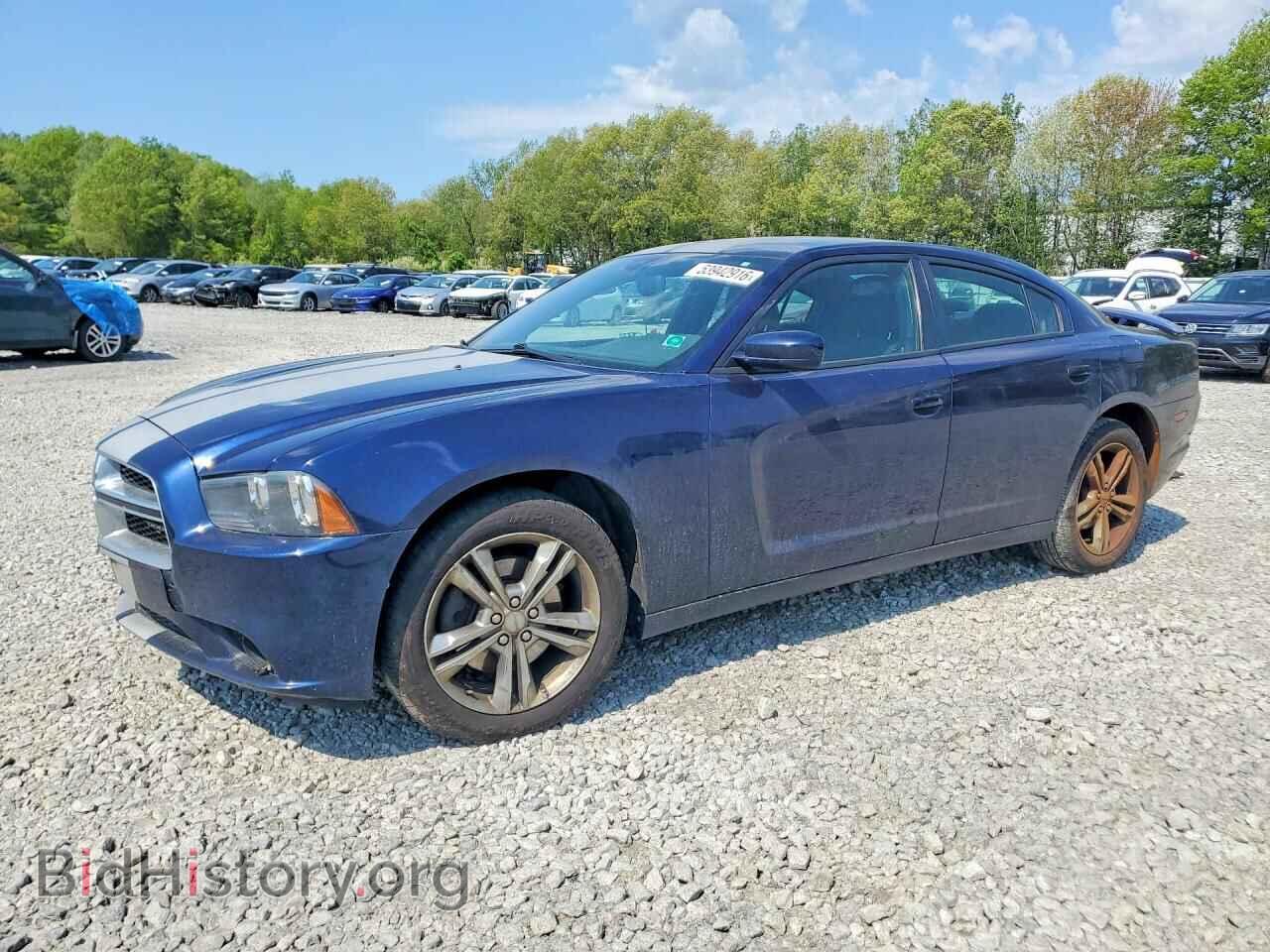 Photo 2C3CDXJG3DH697045 - DODGE CHARGER 2013