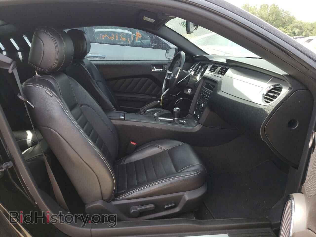 2012 FORD MUSTANG - VIN: 1ZVBP8CF7C5262086 - Фото 5