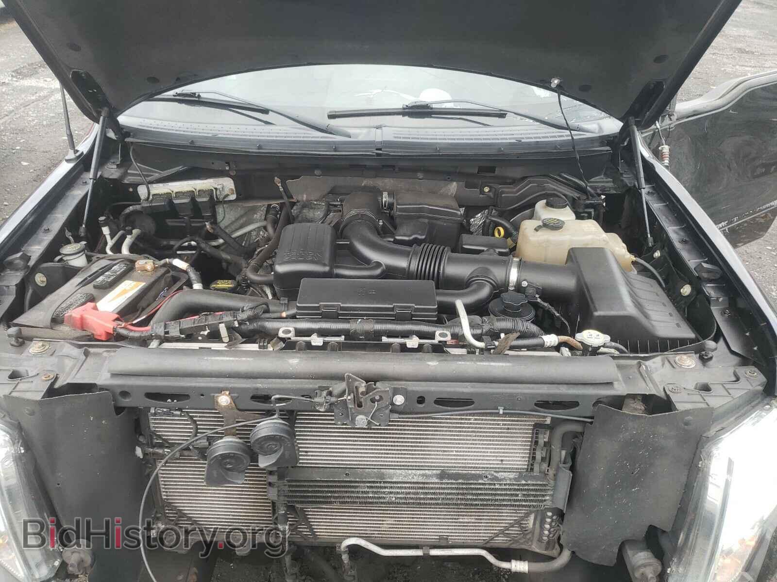 2010 FORD F150 - VIN: 1FTFX1EV6AFB08122 - Фото 7